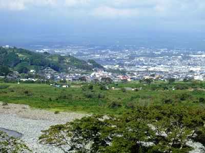 富士川楽座の「するがの幸」へ。