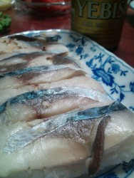 鯖の押し鮨と焼き鳥で一杯♪