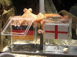 おはようございます♪ パウル君、またしても当たる