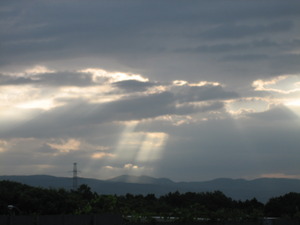 おはようございます♪