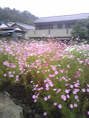 おはようございます♪