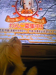 おはようございます♪