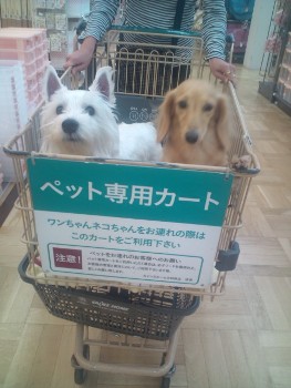 〇インズホームさん、行ってきましたぁ♪