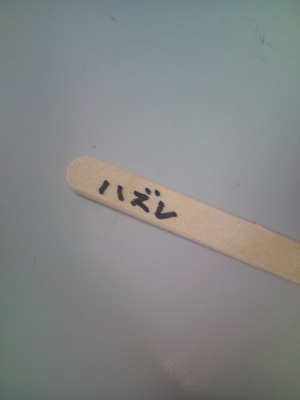 今日のおやつは。。ガリガリ君ハズレ編