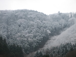 大変、雪だ☆