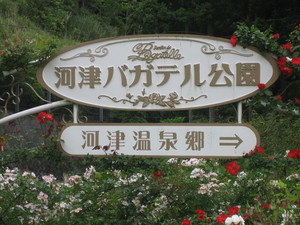 河津バガテル公園~ただいま、バラ、見ごろでーす♪