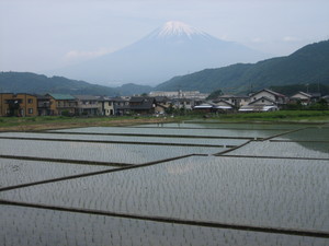 今日の富士山とikeさん♪