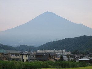 これは。。。