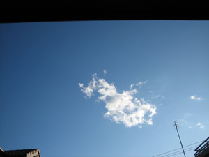 おはようございます♪