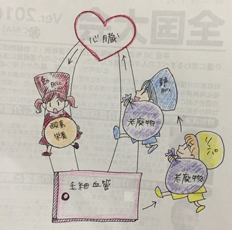 ムクミとは ムクミとは