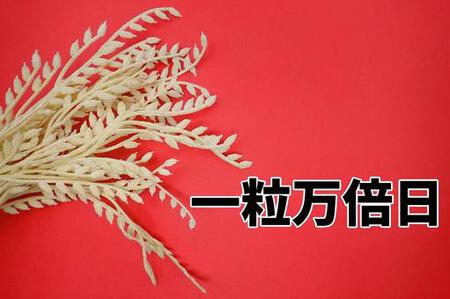 きょう(7/17)は「大安 & 一粒万倍日」です!! 本日は 「スーパーしんや様」で出店します。(13時~19時) きょう(7/17)は「大安 & 一粒万倍日」です!! 本日は 「スーパーしんや様」で出店します。(13時~19時)