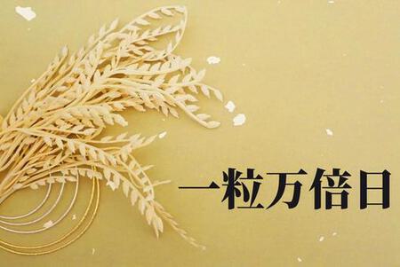 本日(2/7)は「スーパーしんや様」(中野交差点)で出店します。 きょうは「一粒万倍日」ですよ~!! 本日(2/7)は「スーパーしんや様」(中野交差点)で出店します。 きょうは「一粒万倍日」ですよ~!!