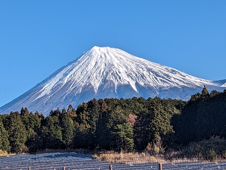 新年おめでとうございます!! <年始営業のお知らせ>(1/1~1/7) で~す!! 新年おめでとうございます!! <年始営業のお知らせ>(1/1~1/7) で~す!!