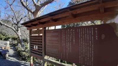 12/11(水)寝姿山ロープウェイで山頂公園、見学レポート 12/11(水)寝姿山ロープウェイで山頂公園、見学レポート