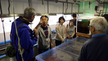 12/12(土) 筑波大学下田臨海実験センターの一般公開が開催されます! 12/12(土) 筑波大学下田臨海実験センターの一般公開が開催されます!
