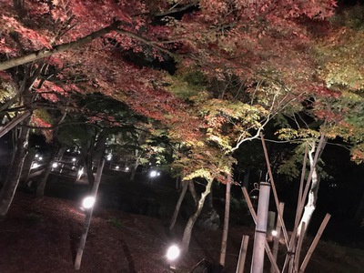 半月が綺麗な夜でした 半月が綺麗な夜でした