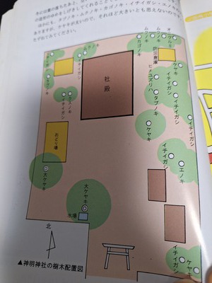 2025/5/18 近所サイクリング 神明神社と妙蔵寺など 2025/5/18 近所サイクリング 神明神社と妙蔵寺など