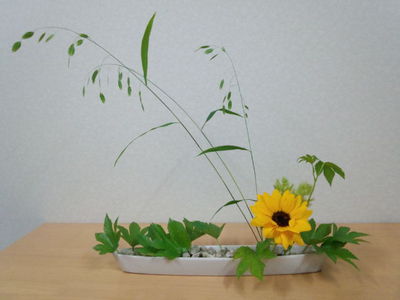 丁寧に、何度も。 丁寧に、何度も。
