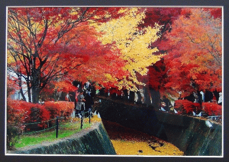 第16回伊豆の国フォトクラブ写真展★ 第16回伊豆の国フォトクラブ写真展★