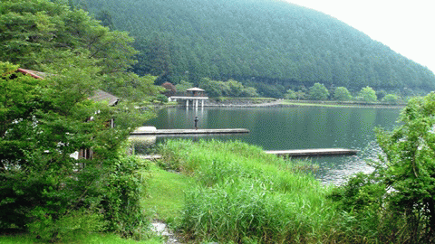 田貫湖コース散策 田貫湖コース散策