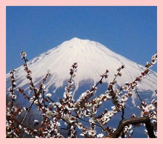 富士山ビューハイク★富士市岩本山