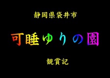 ★可睡ゆりの園★ 観賞記 ★可睡ゆりの園★ 観賞記