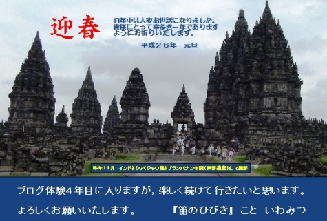 ★✩✩迎 春✩✩★