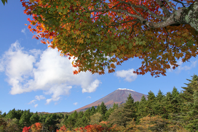 今月の山行は富士山(26日の予定) 今月の山行は富士山(26日の予定)
