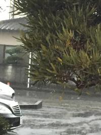 すごい雨でしたね！！