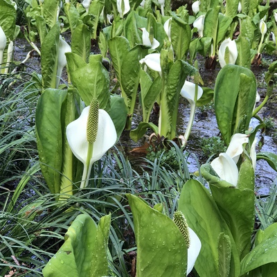 足元ばかり見ないで 視線を上げて❗️ 足元ばかり見ないで 視線を上げて❗️