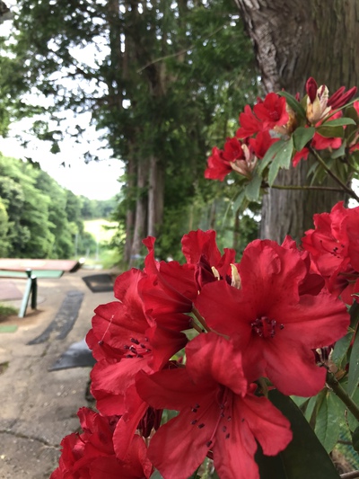 お天気は曇りです お天気は曇りです