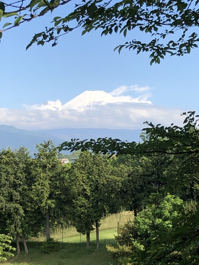 お知らせ お知らせ