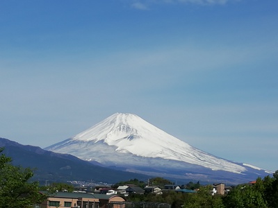 昭和の日 昭和の日