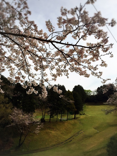 スキマ時間に⛳️ スキマ時間に⛳️