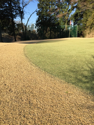 快晴⛳️ 快晴⛳️