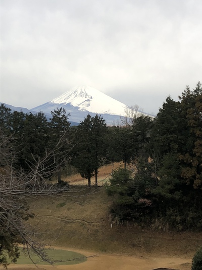 1月らしい寒さかな 1月らしい寒さかな
