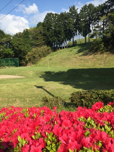 GWゴルフは〜⛳️ GWゴルフは〜⛳️