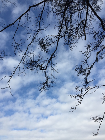お天気は曇 お天気は曇