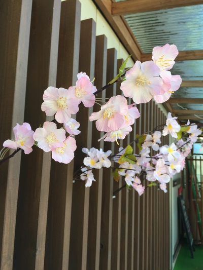 今日は寒かったですね 今日は寒かったですね