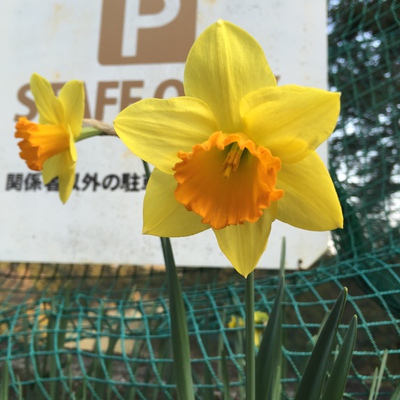 月例会開催中 月例会開催中