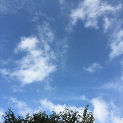 風吹いてます〜 風吹いてます〜