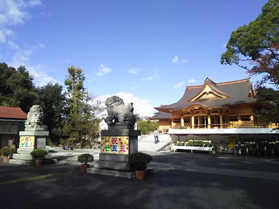 三日市浅間神社奉納菊花展 2016 三日市浅間神社奉納菊花展 2016
