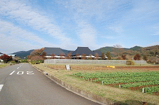 健康な農園