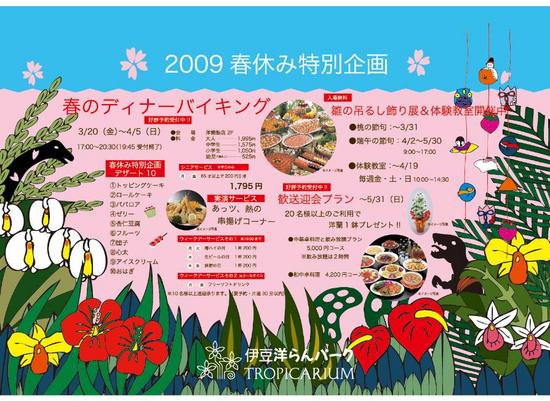 洋ラン復活~???