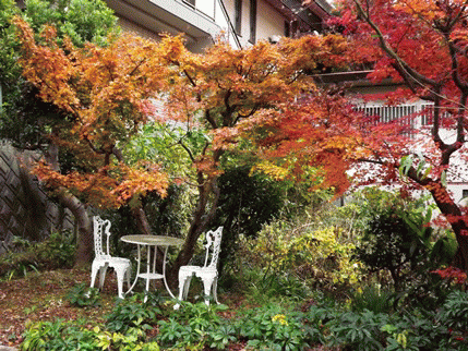 我家の紅葉 ✿❀✿