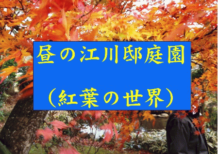 ★江川邸★昼と夜の庭園