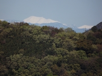 立花からの南アルプス ★晴天の富士山★