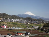 立花からの晴天富士山 ★晴天の富士山★