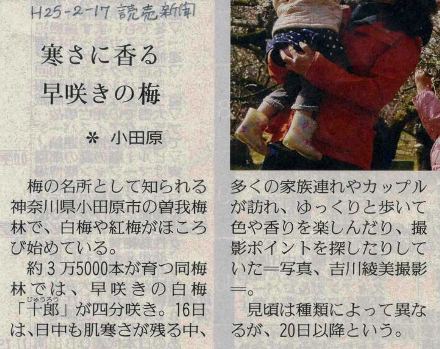 曽我梅林観梅予定★山の会で20日に