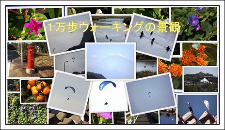 ピカサ編集写真集★1万歩ウォーク景観